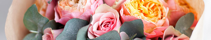 купить цветы Нидерланды от Grand-flora